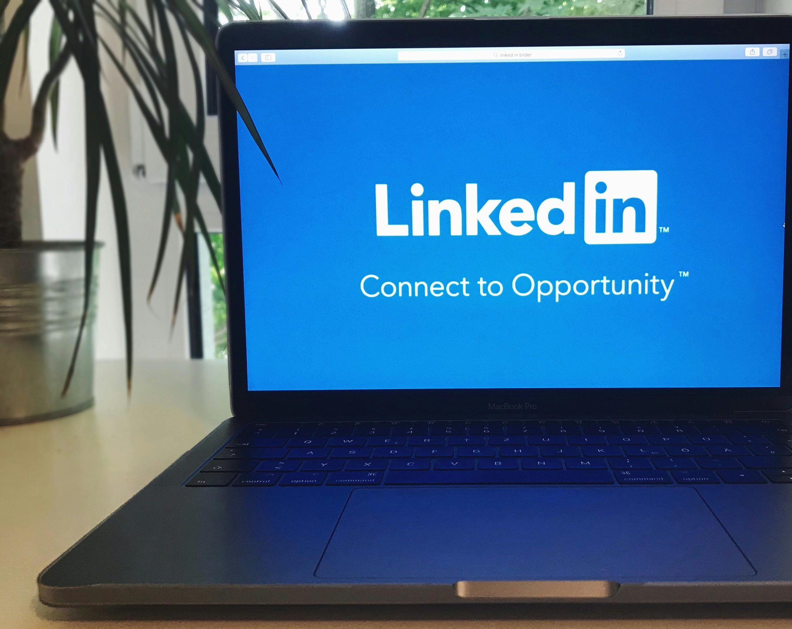 How to Add School Interests to LinkedIn